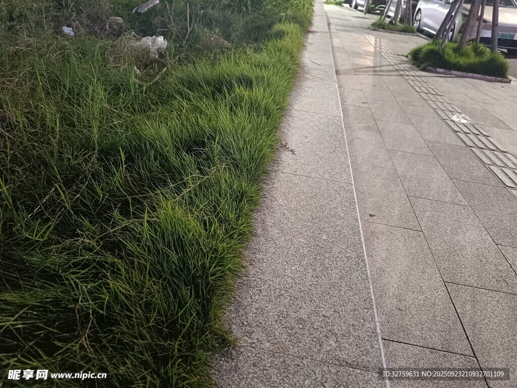 路邊茂盛青草覆蓋小徑