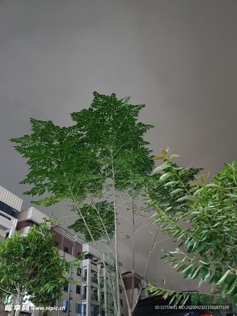 綠植墻營造自然空間氛圍