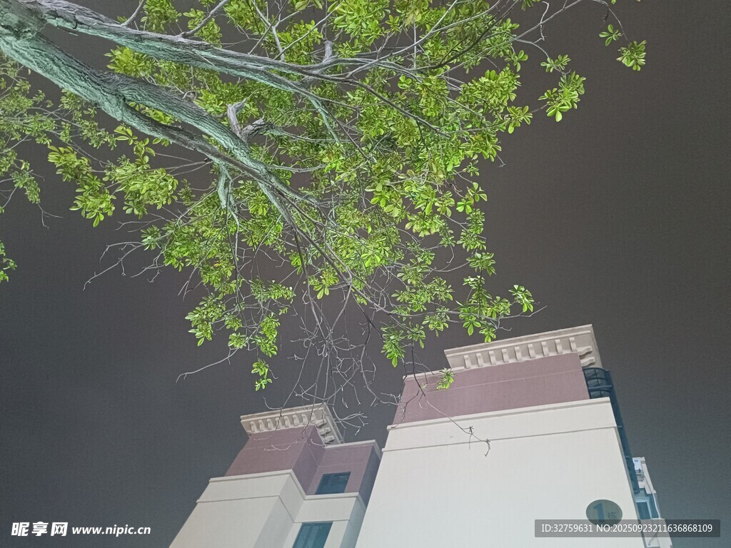 綠樹掩映下的建筑一角