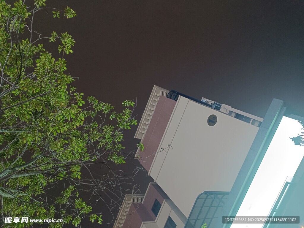 仰視視角下的建筑與綠樹