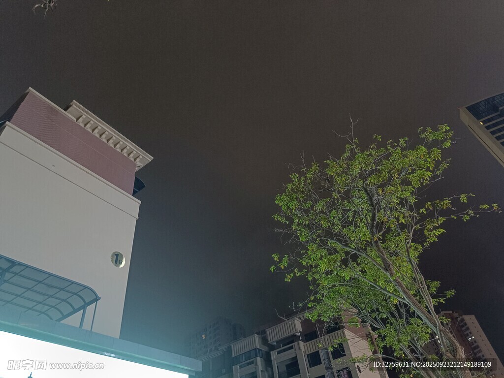 夜晚城市中的建筑與綠樹