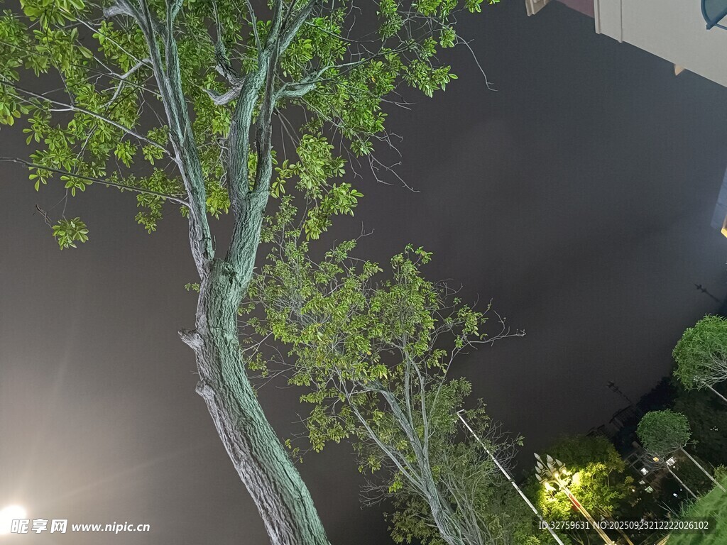 俯瞰夜色中的樹(shù)木與建筑