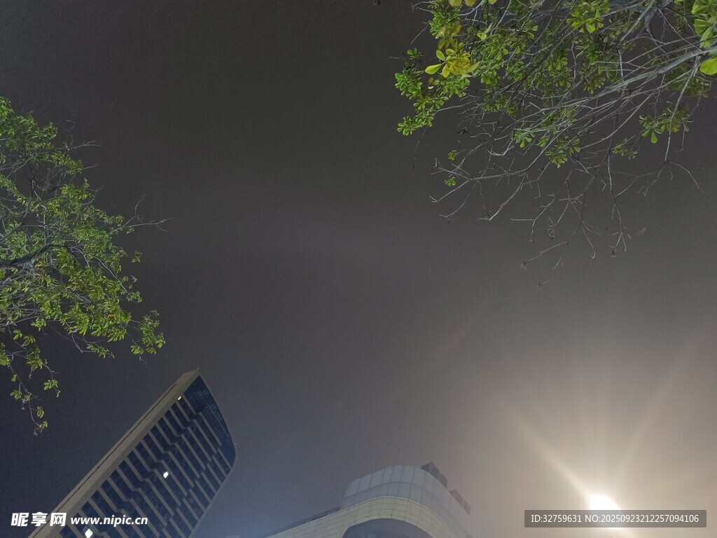 夜晚城市中朦朧的建筑與樹