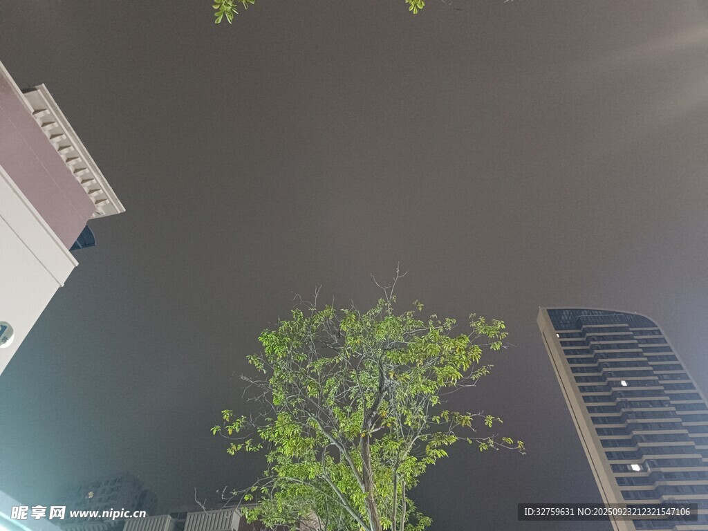城市夜景中的綠植與建筑