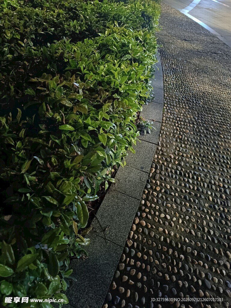 路邊綠植與紋理地面景觀