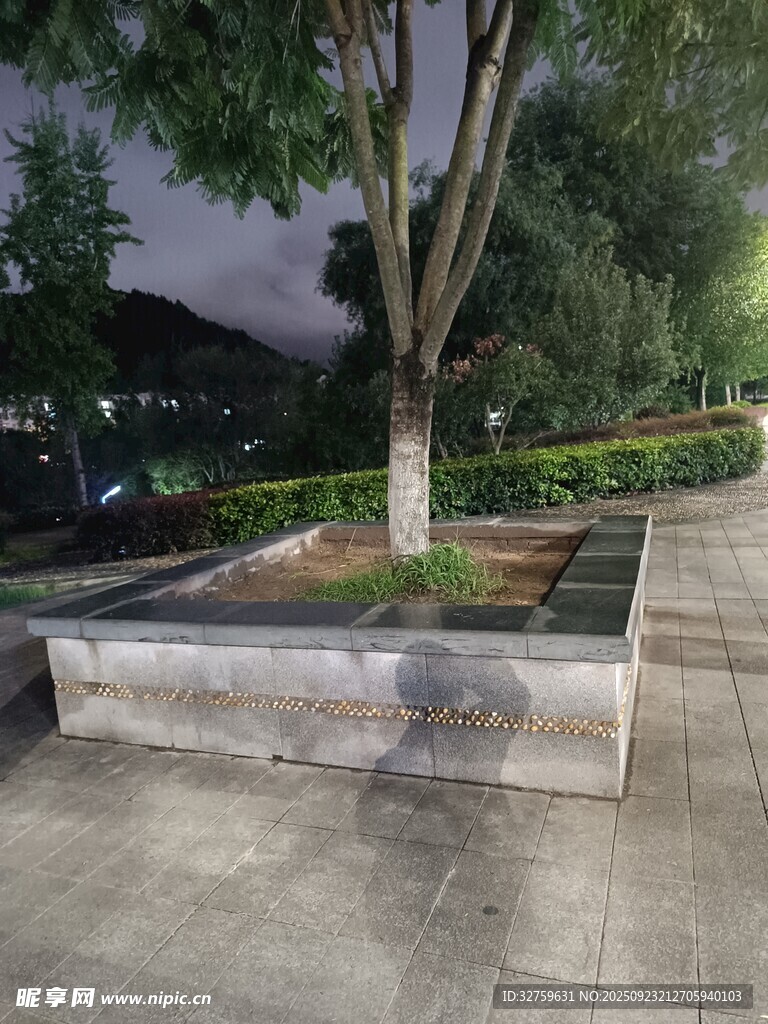 城市街邊綠植景觀