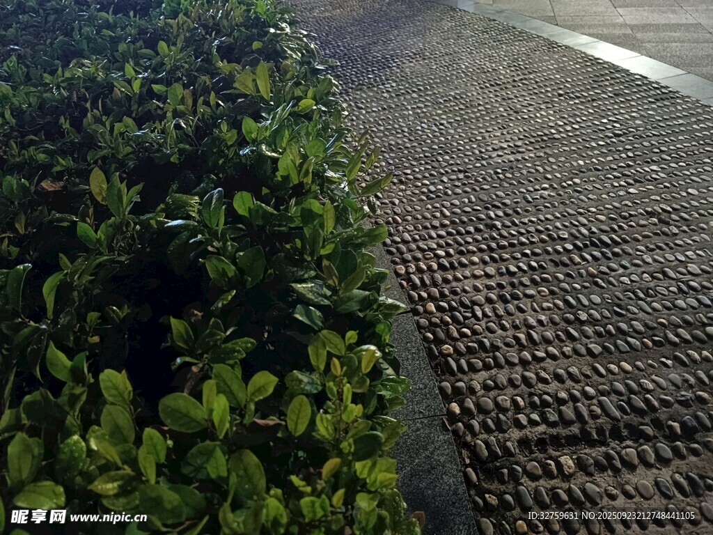 路邊綠植與鋪磚路面