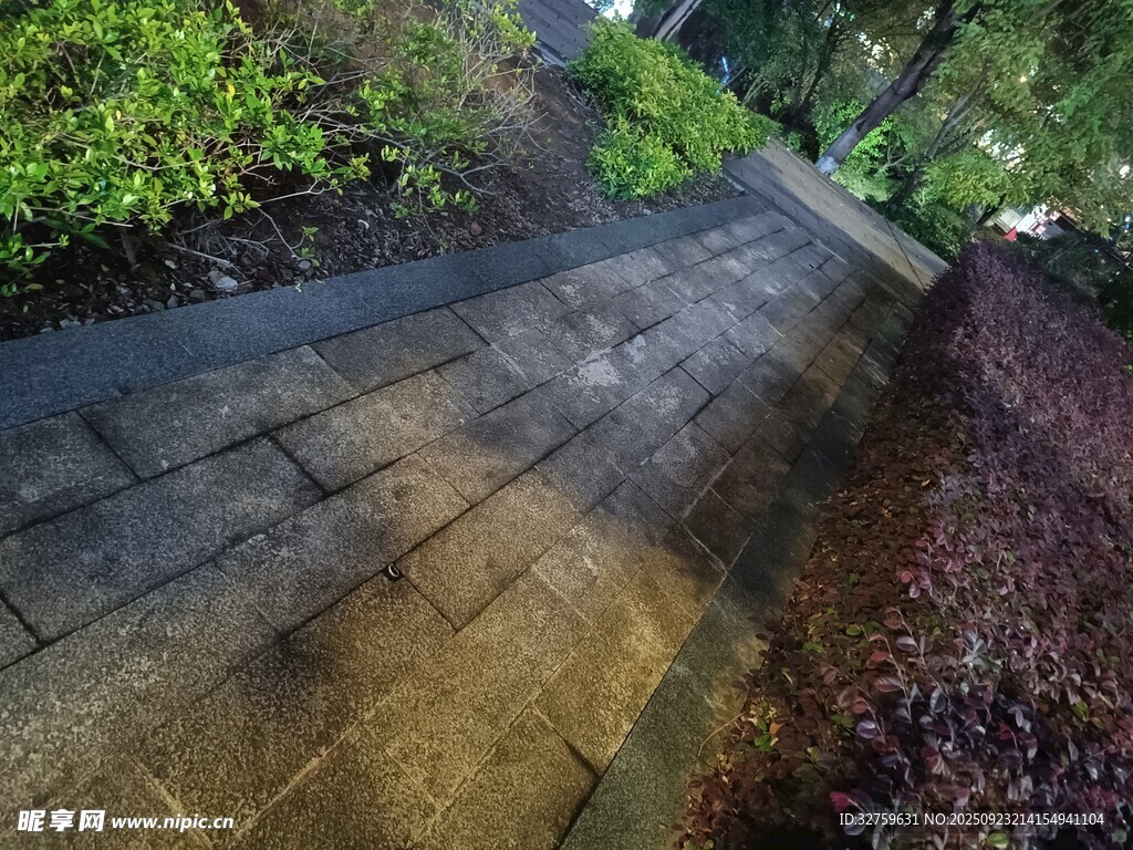 雨后林間石板小徑