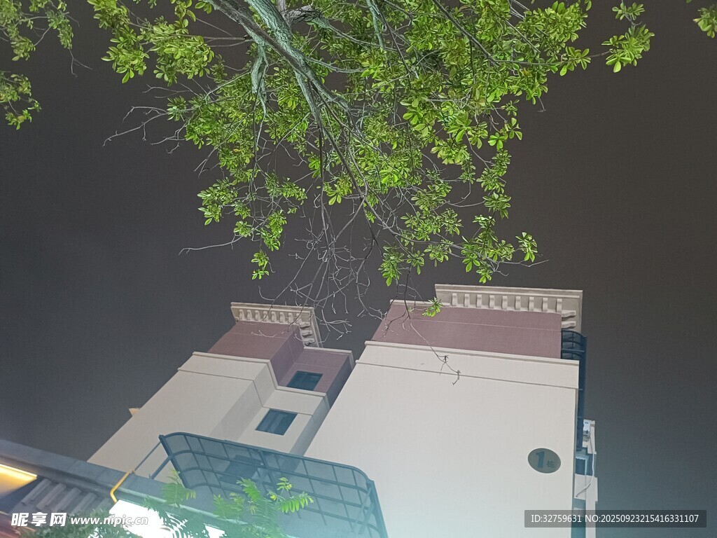 屋頂綠植景觀俯瞰視角