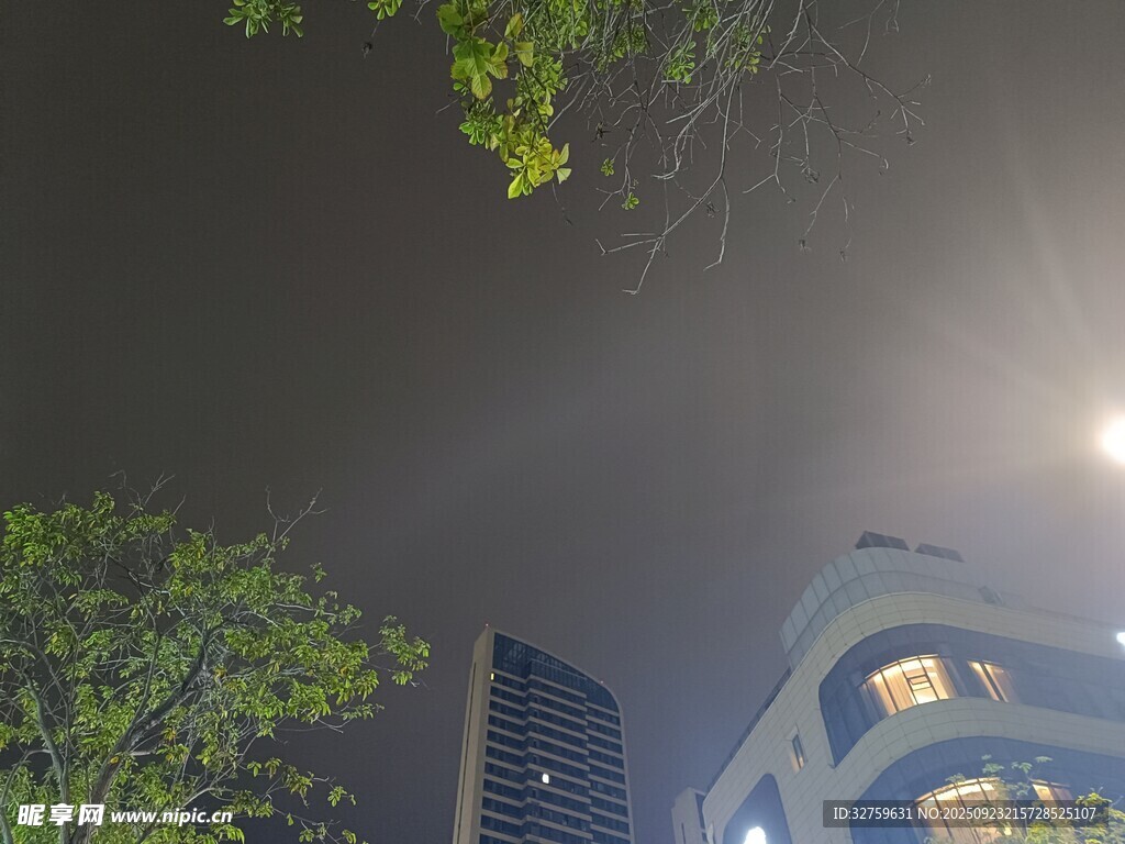 夜幕下的城市建筑與綠樹