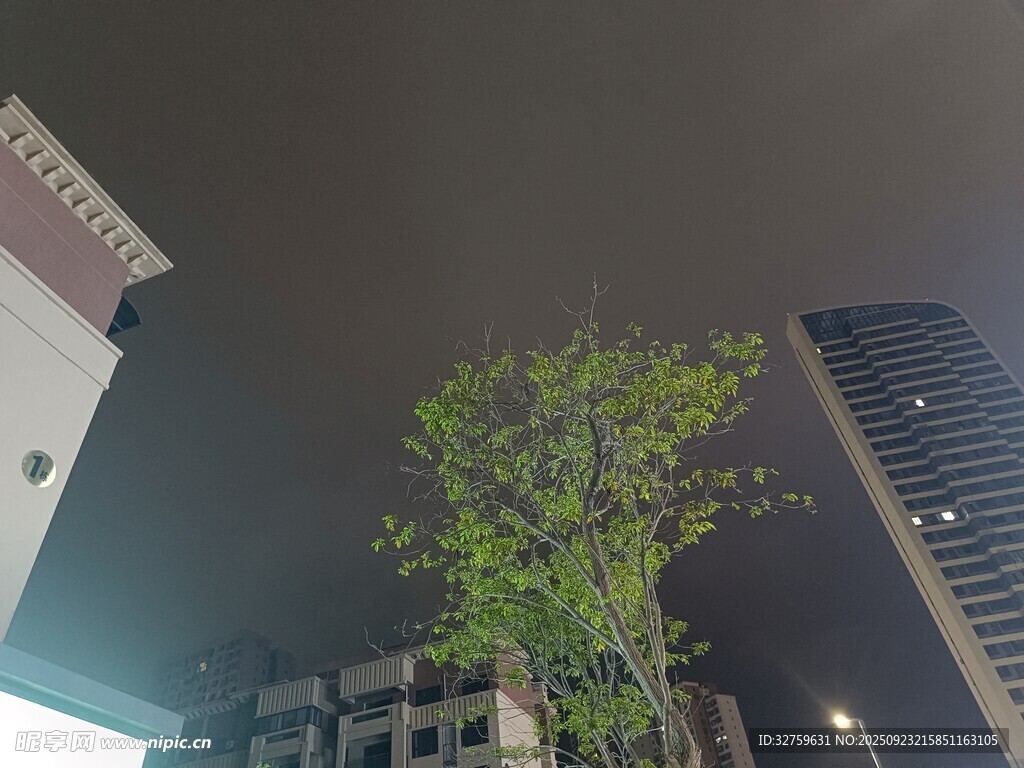 城市夜景中的綠樹(shù)與高樓