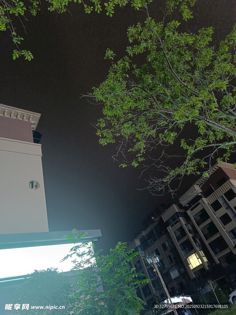 夜晚城市中的樹(shù)木與建筑