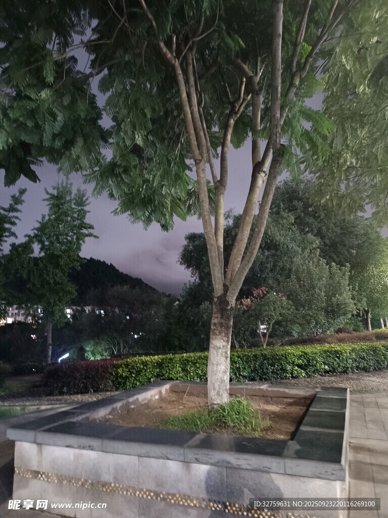 街邊樹木與花壇景觀