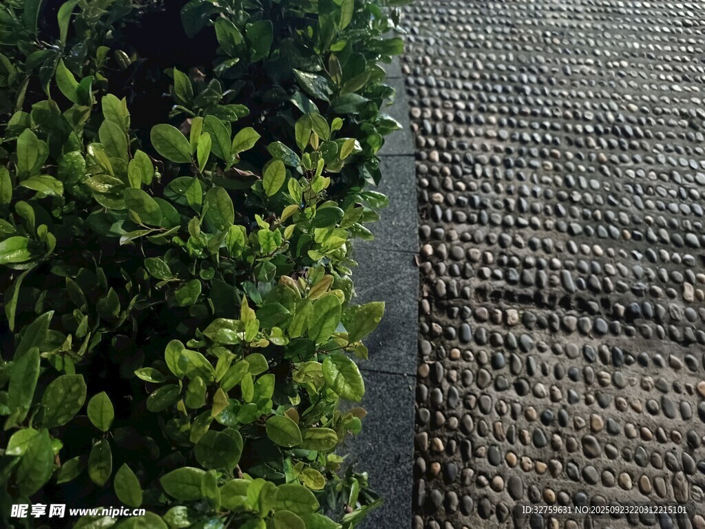 屋頂綠植與編織地面景觀