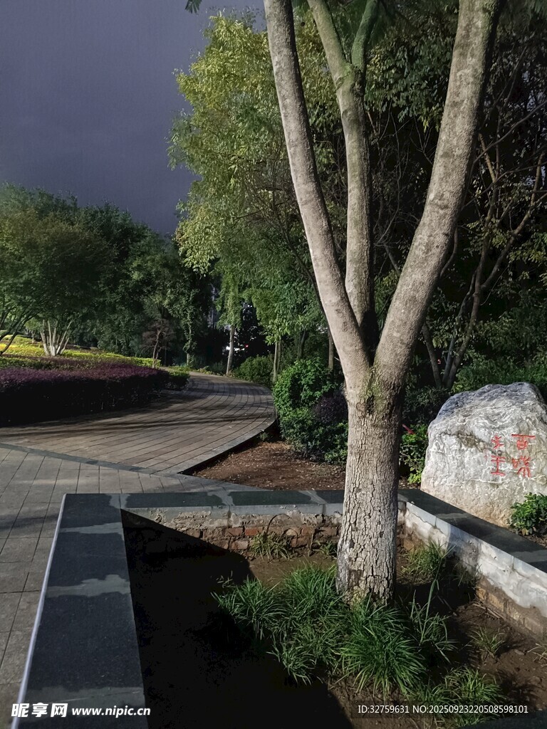 公園黃昏時的樹木與小徑