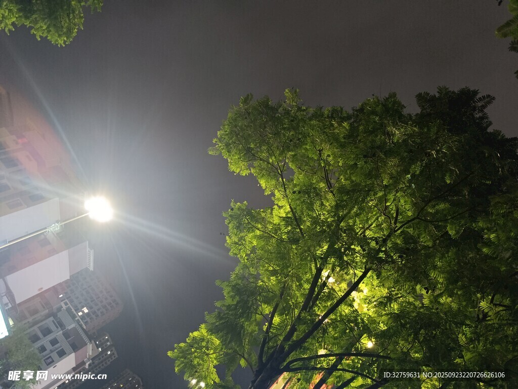 夜晚樹間的璀璨燈光