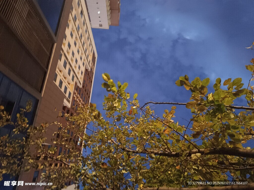 城市間的藍(lán)天綠樹景致