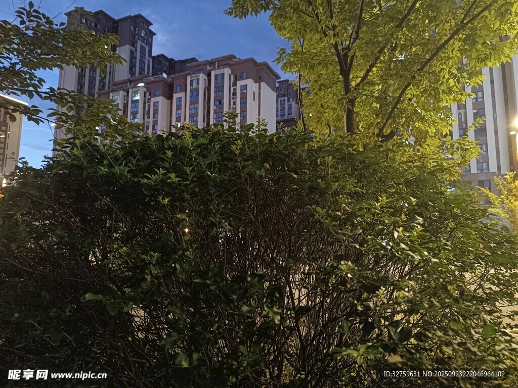 綠樹掩映下的高樓景觀