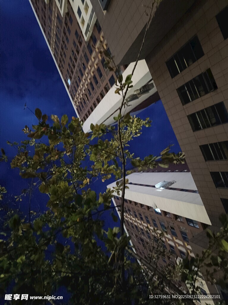 仰視城市高樓與綠樹