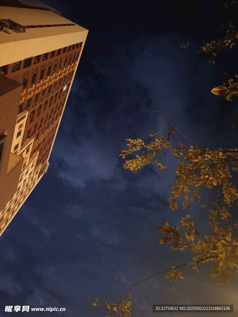 夜幕下的高樓與樹梢