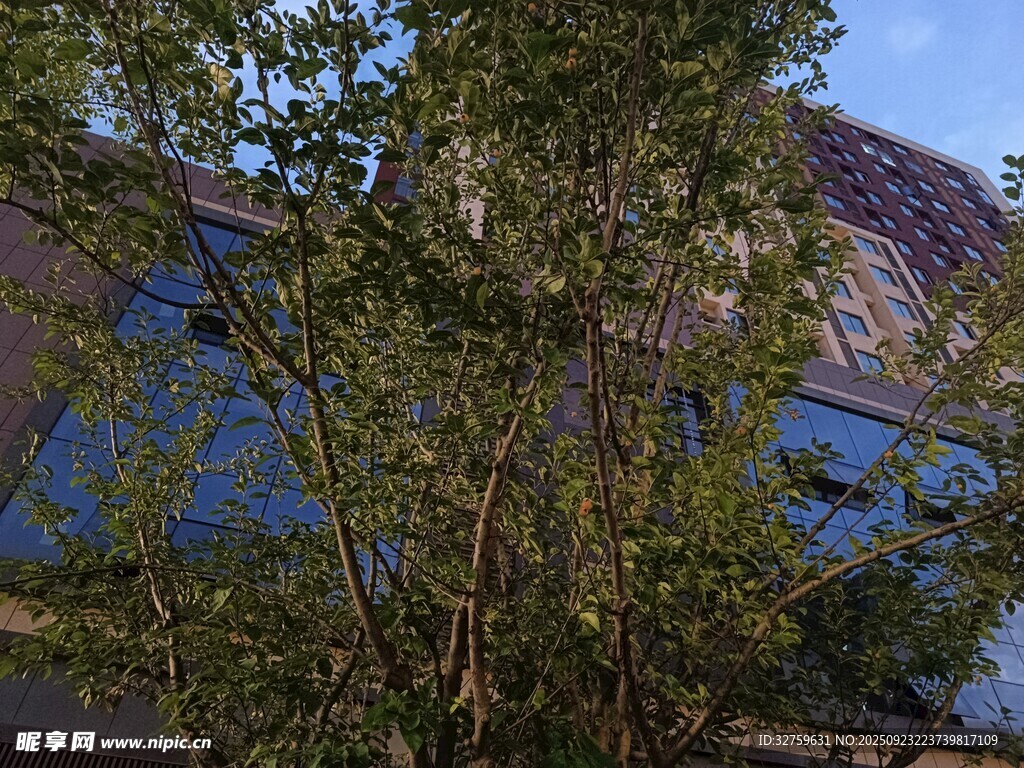 綠樹掩映下的建筑一角