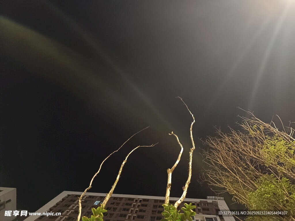 夜空中的絢麗閃電景觀