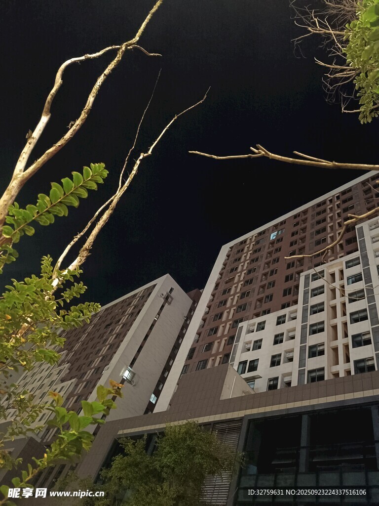 夜中高樓與伸展樹枝