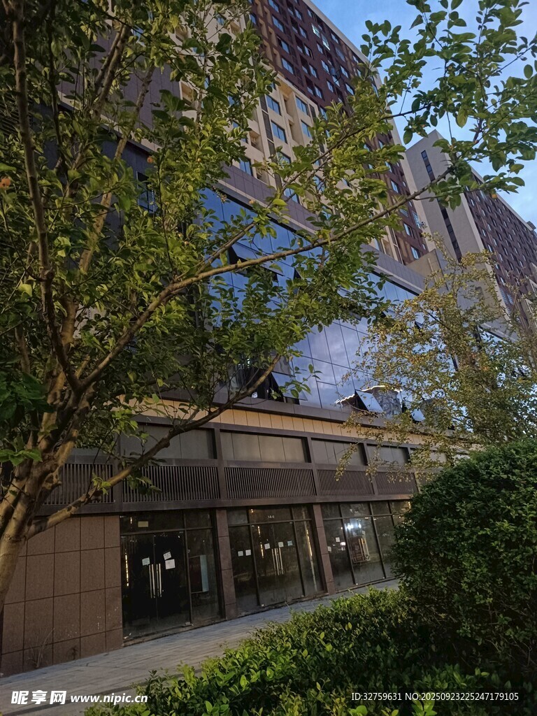 現(xiàn)代建筑旁的綠植景觀