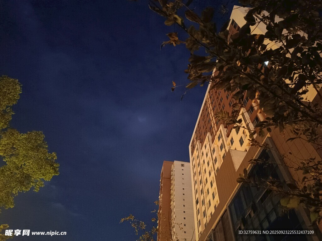 夜幕下的高樓與樹木