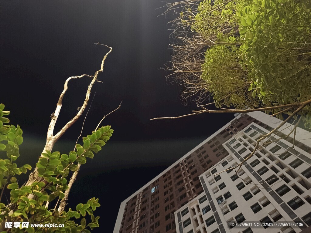 仰視高樓與綠植景觀
