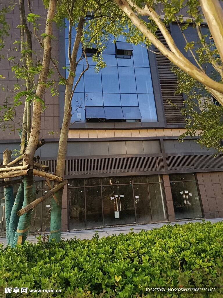 現(xiàn)代建筑旁的綠植景觀