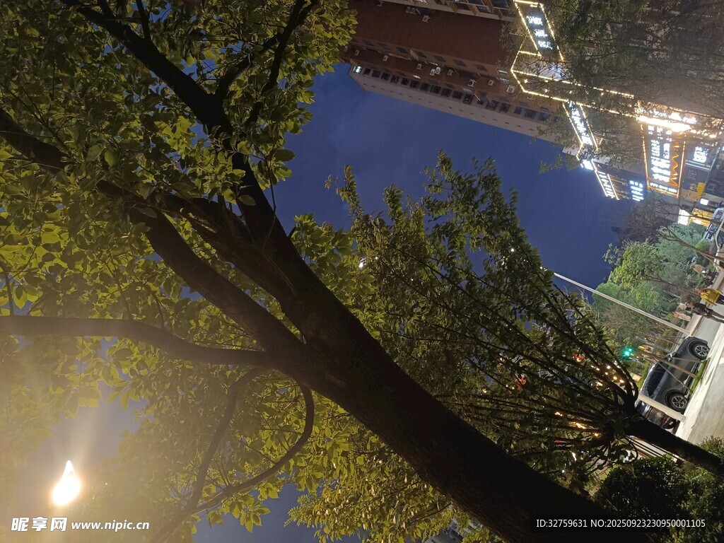 夜晚樹(shù)下的城市燈光景觀