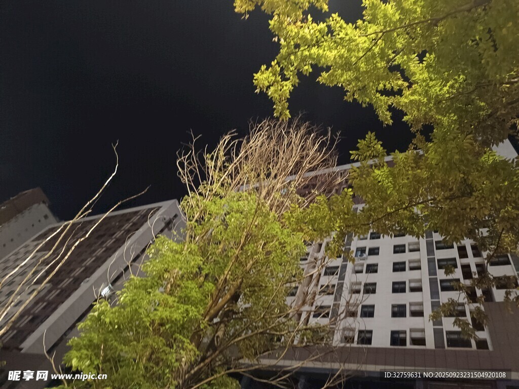 夜中樓旁綠意盎然景象