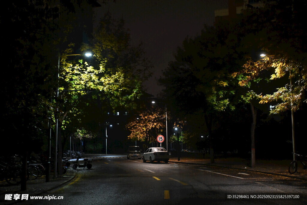 夜晚靜謐的林蔭街道