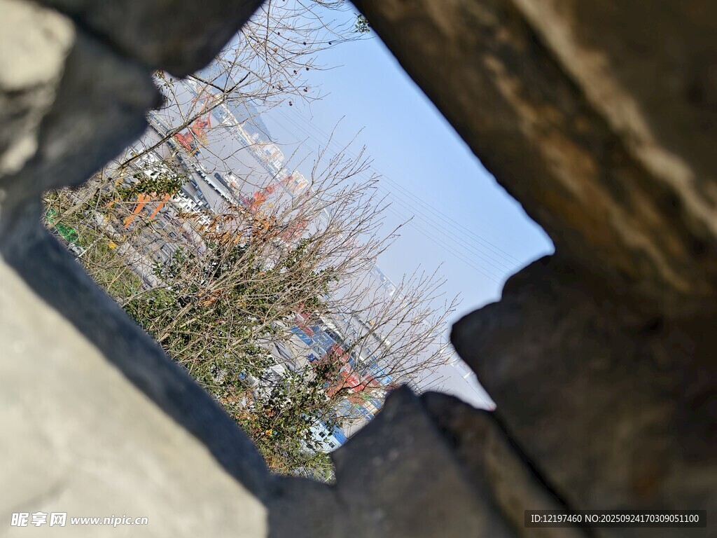 水面倒影中的樹木景致