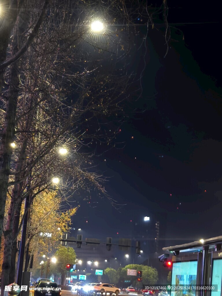 夜晚街邊路燈下的城市景象