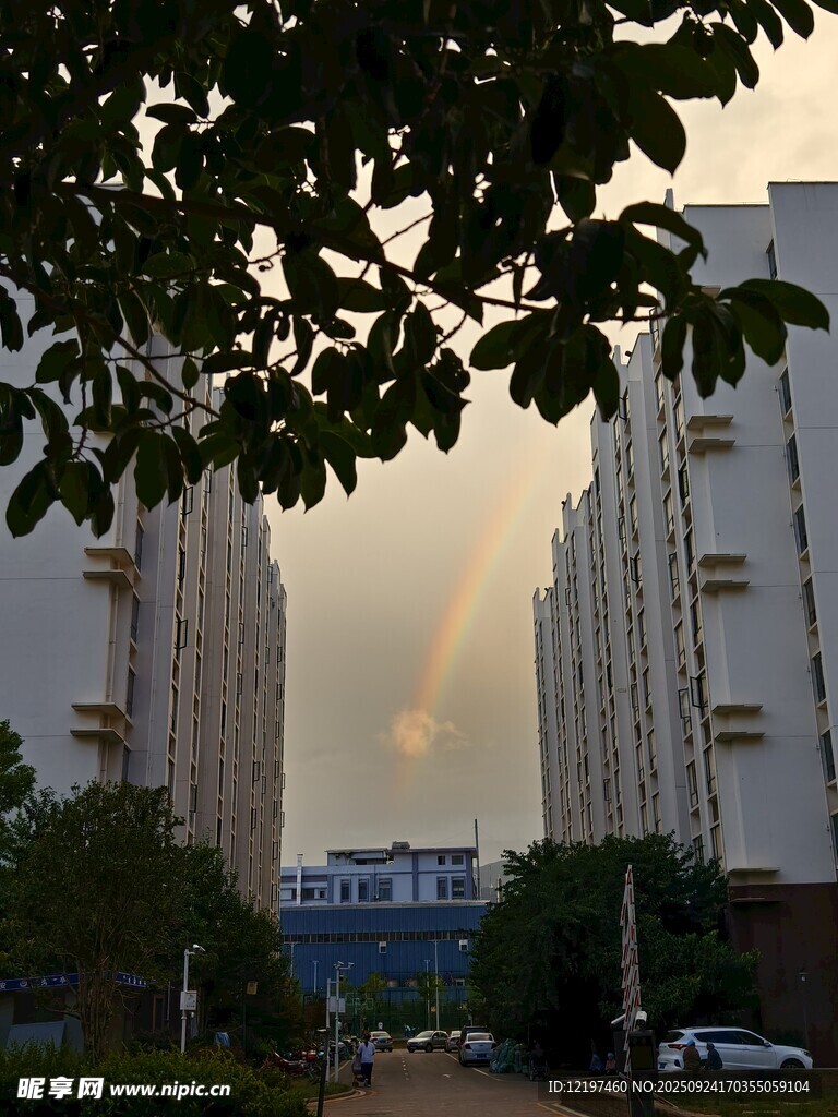 小區(qū)間的美麗霞光