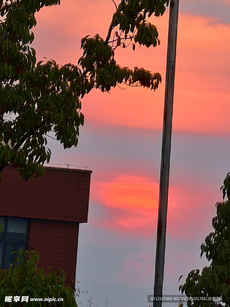 夕陽(yáng)下的建筑與樹梢美景