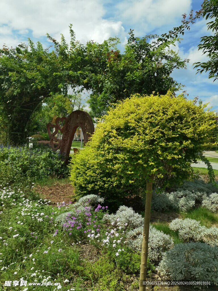 精致庭院綠植景觀