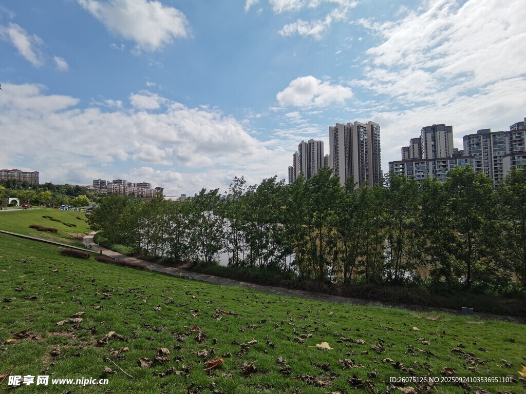 城市邊的綠草地與高樓