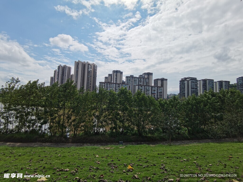 城市綠地旁的高樓景觀