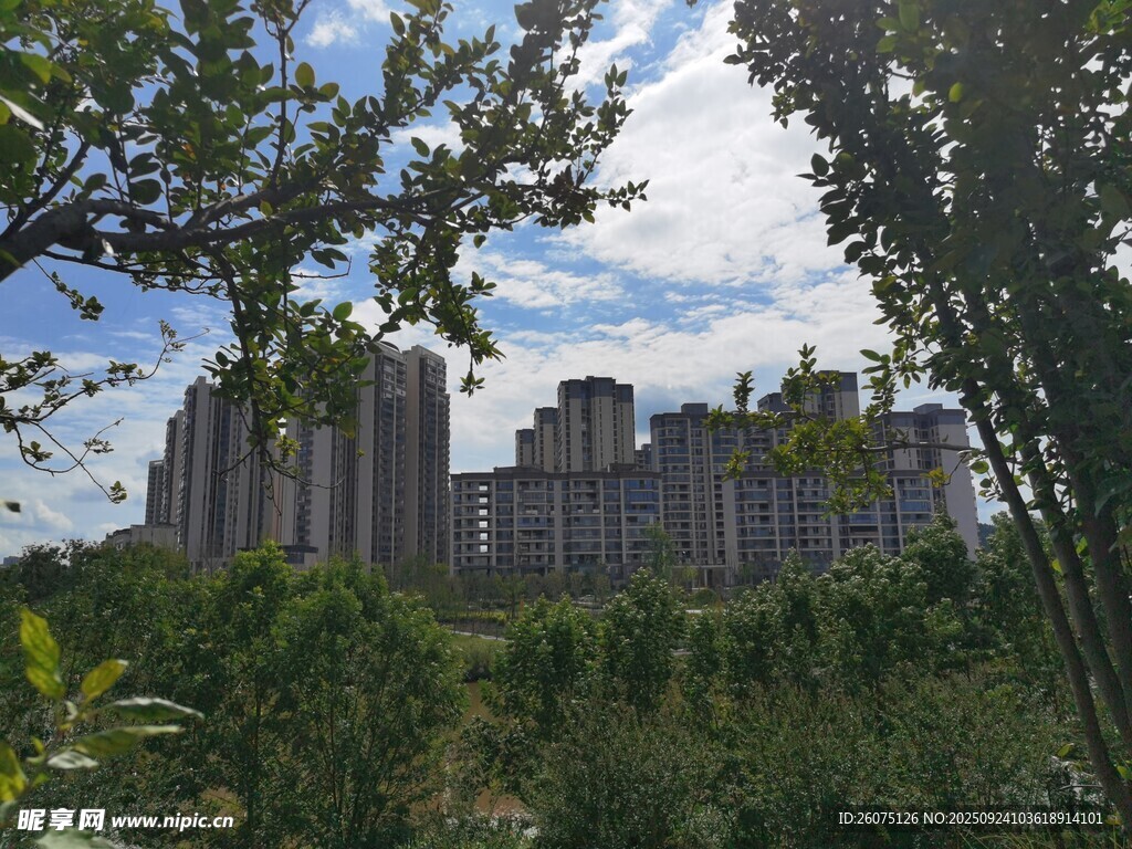 城市建筑群與綠意景觀