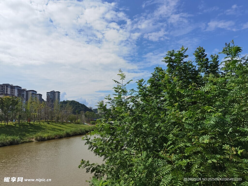 河畔綠樹(shù)與遠(yuǎn)處樓宇景觀