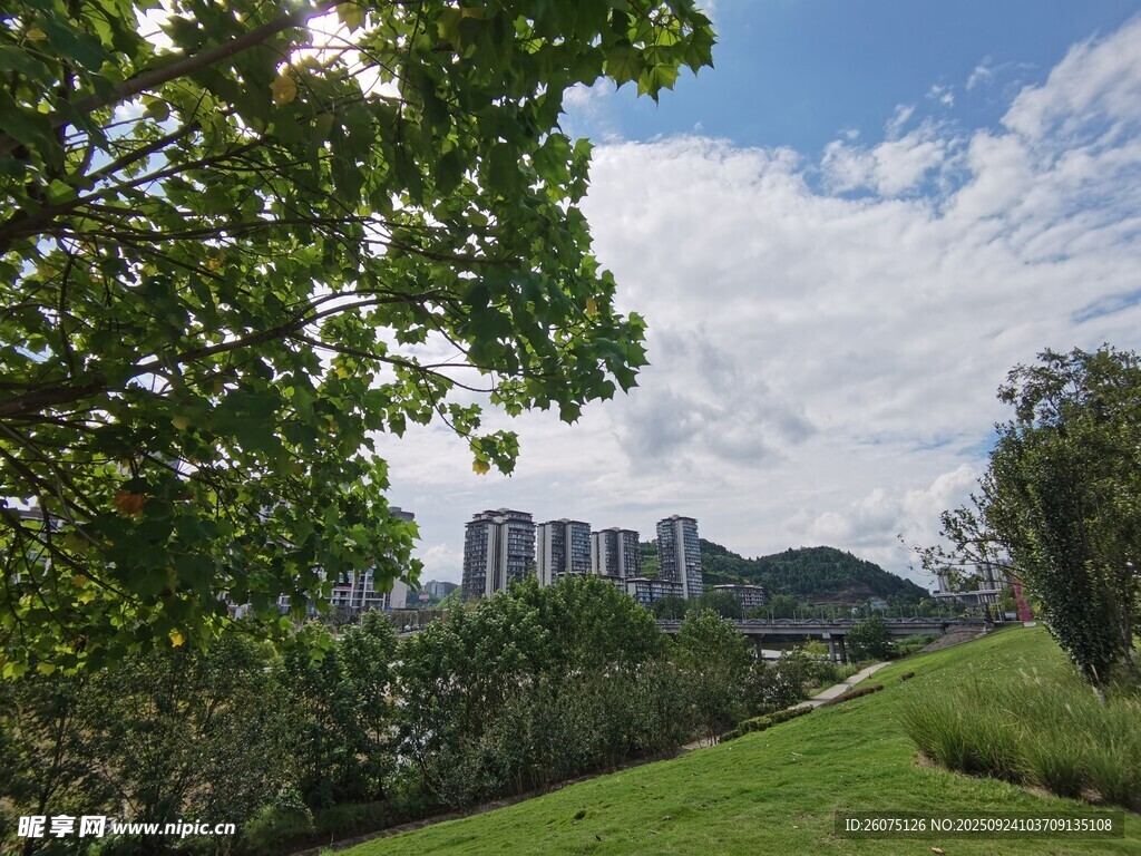 綠意盎然的戶外風(fēng)景