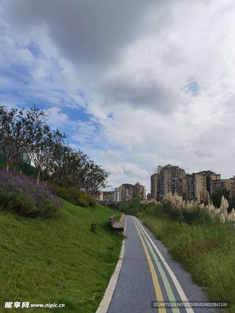 城市中的寧靜騎行小路