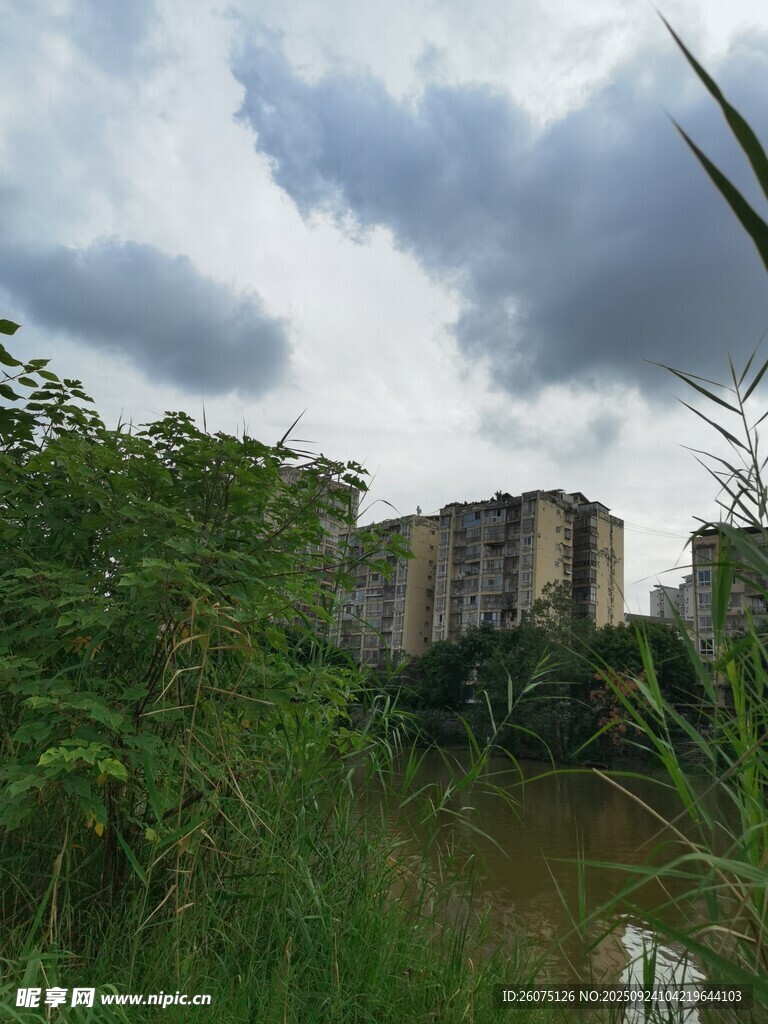 荒廢建筑旁的繁茂綠植