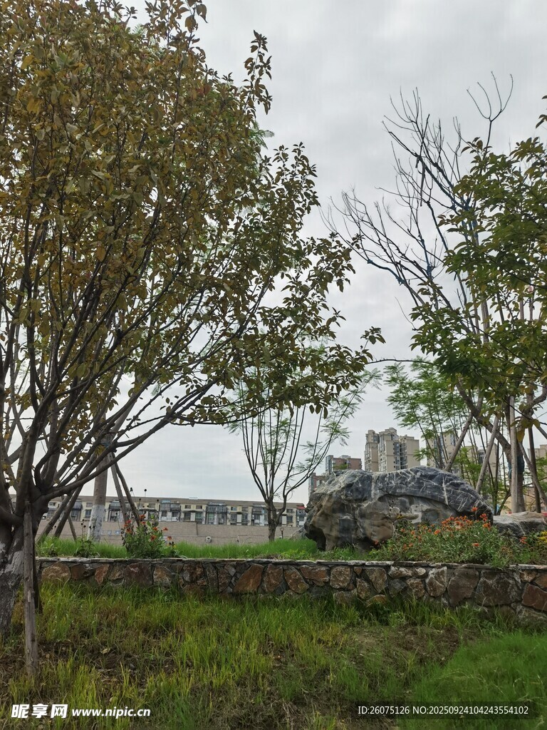 野外樹木旁的車輛風景
