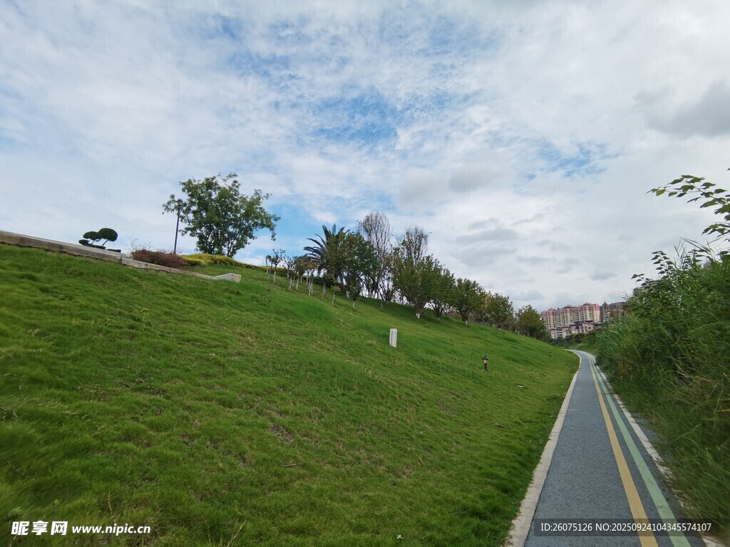 綠意盎然的公路旁草地風(fēng)景