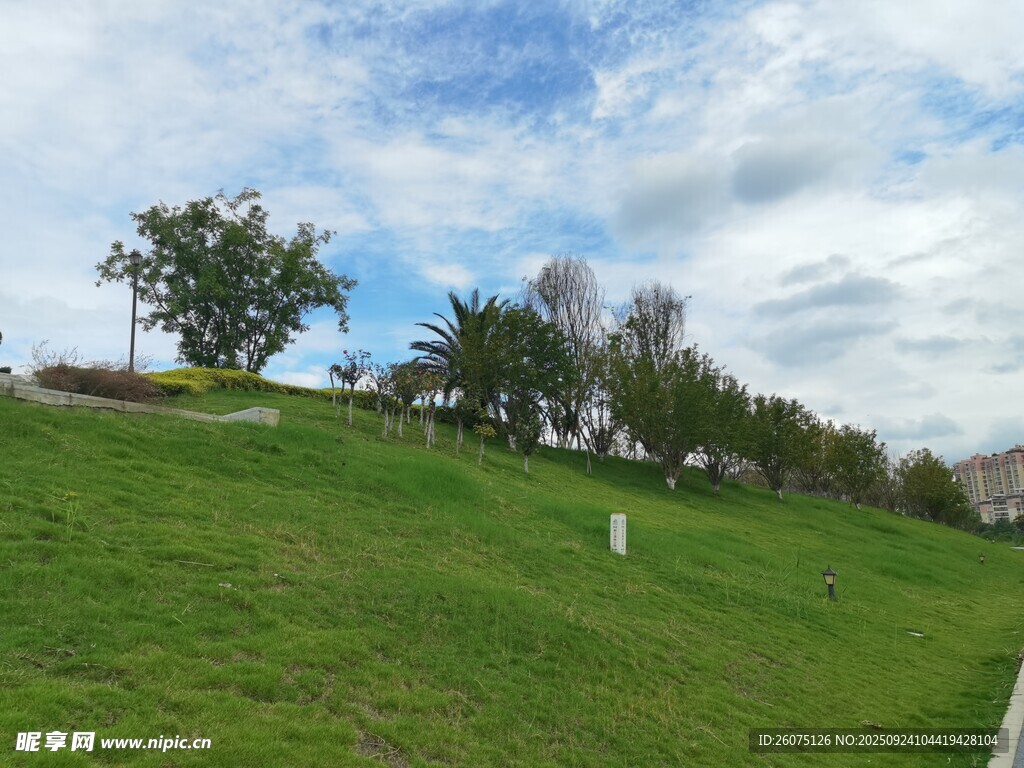 翠綠草地與藍(lán)天白云景觀