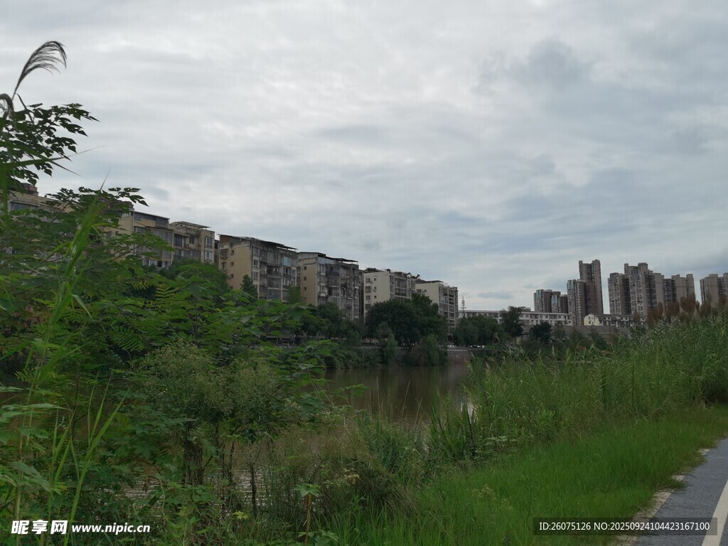 城郊草地旁的高樓景觀